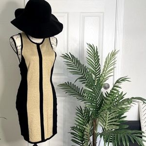 Black and Gold Stretchable Dress
